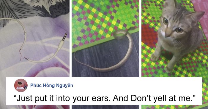 Owner Can’t Be Mad At The Cat Anymore For Destroying His Earphone Cable, As The Cat Returned With A Snake As A Replacement