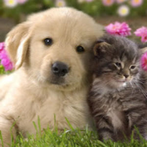 hannahseidman avatar