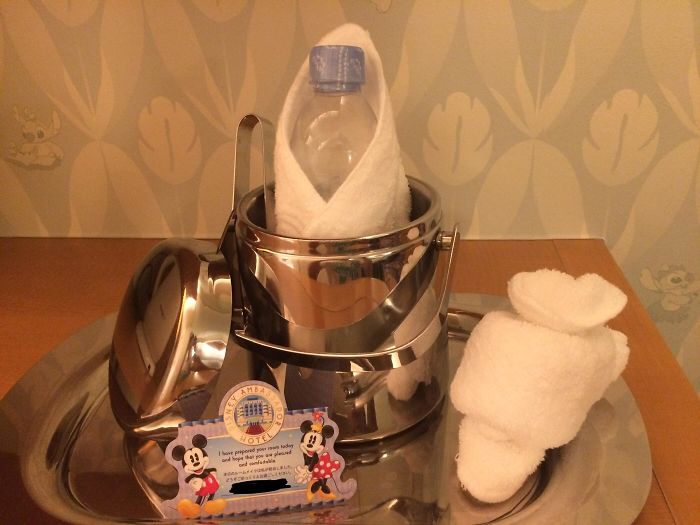 Was Staying At Disney Hotel, Says: With Price Like This They Better Serve Water Like Champagne. The Next Day...