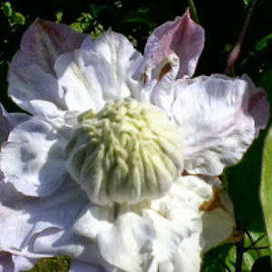 boguslawjunoszagrochowski avatar