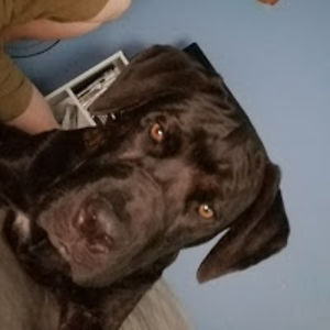 benjaminwhedbee avatar