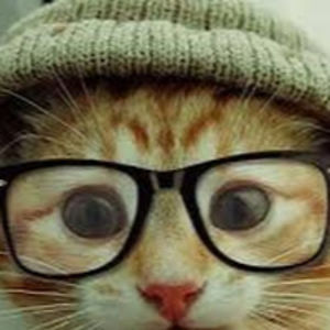 ronielrandelman avatar