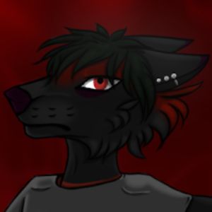 wolfishlybloody avatar