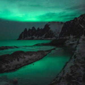 gracesalminen avatar