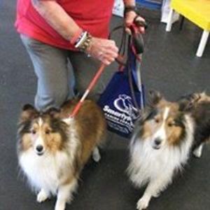 marie_czarnecki avatar