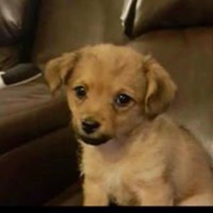 chloe_isabella_sand avatar