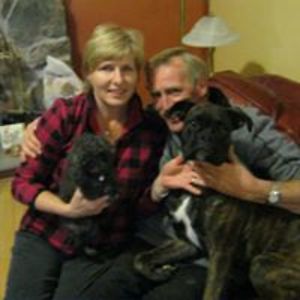 westmeathstud00 avatar