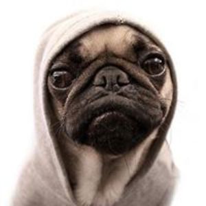 lance_connolly avatar