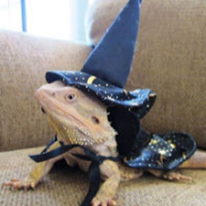 emma5280emma5280 avatar