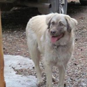 serena_kennedy58 avatar