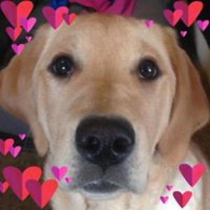 kkparalegal17 avatar