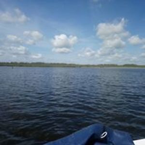 rach_mansfield avatar