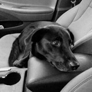 anacarter1976 avatar