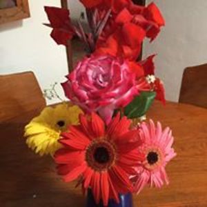 avalonmoon1949 avatar