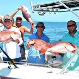 john_matthews_1 avatar