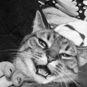 satanicnazicannibal avatar