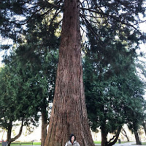 wintercaliguri avatar