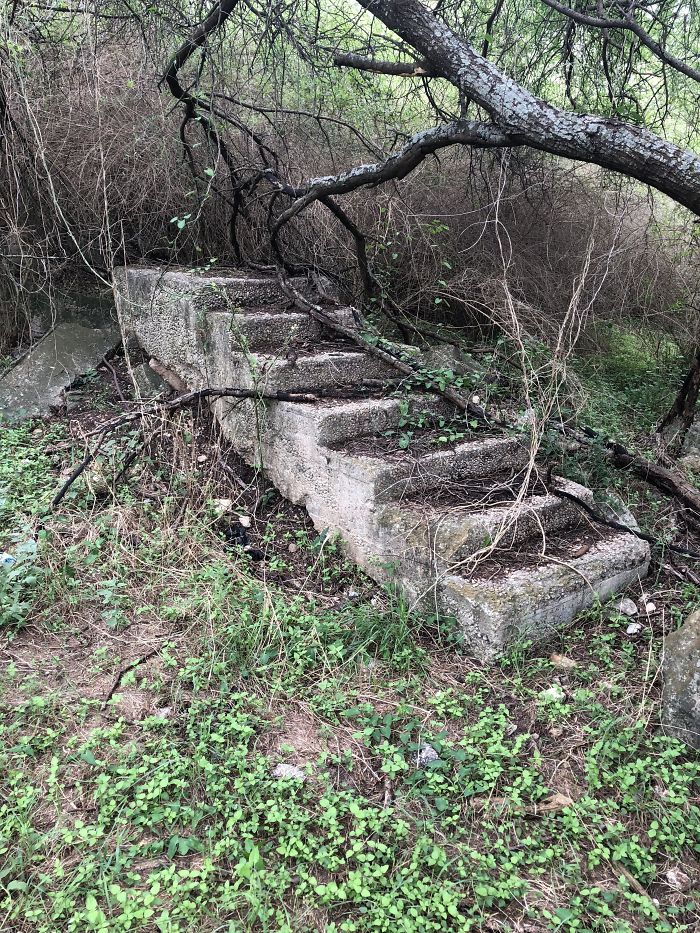 I Found A Staircase In The Woods
