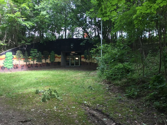 I Found A Secret Subway Entrance In The Wood