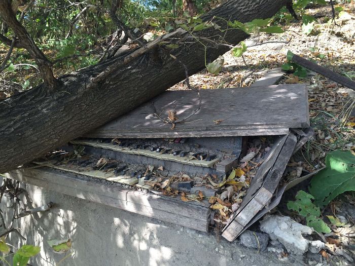 An Old Piano Found In The Woods Under A Tree Trunk