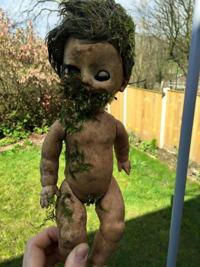 My Friend Found This In The Woods Behind His House