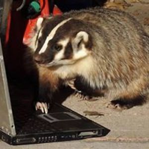 atomictoadranch avatar