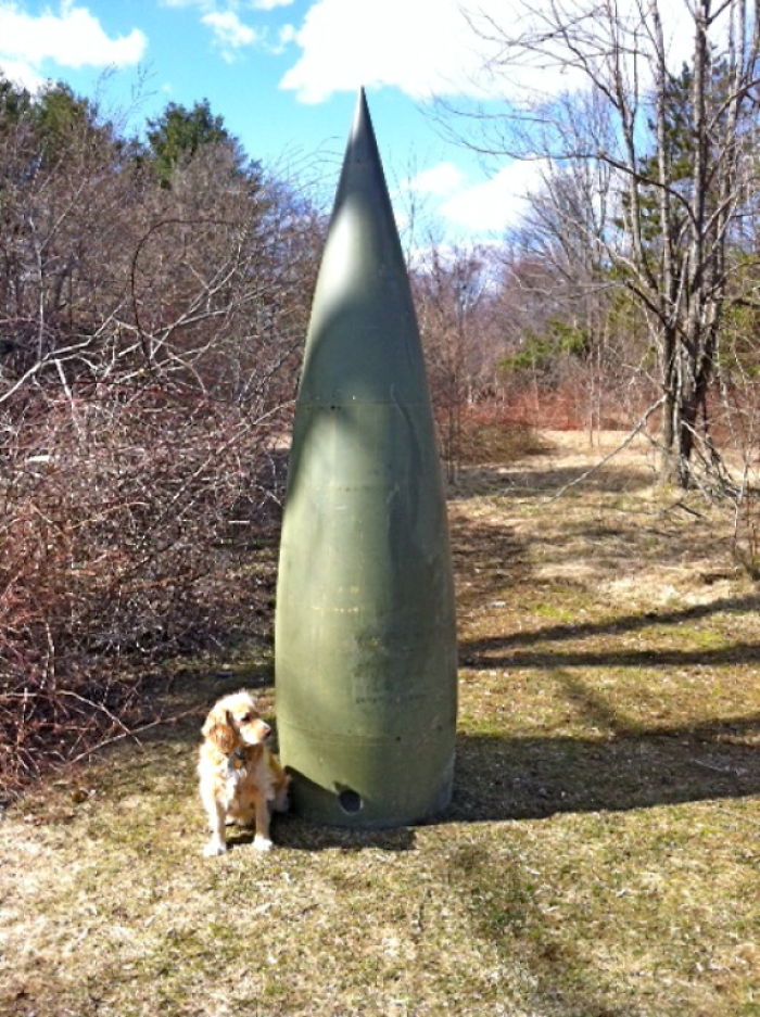 My Aunt Found This Warhead In The Woods Behind Her House