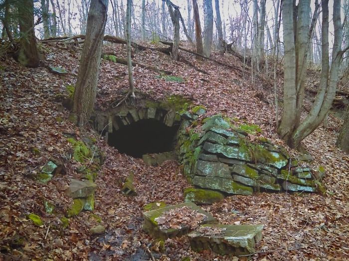 Found In The Middle Of The Woods