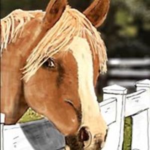 annanana32113 avatar