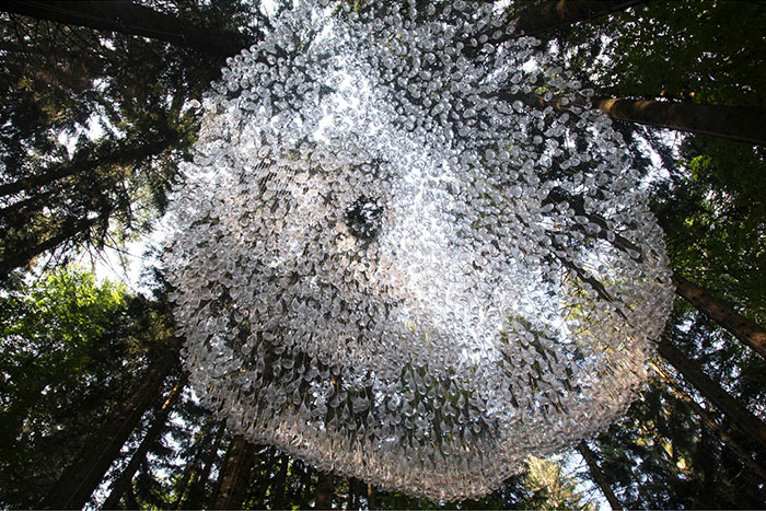 Rainwater 'Chandelier' Installation Can Collect Up To 800 Pounds Of Water Rainwater 'Chandelier' Installation Can Collect Up To 800 Pounds Of Water
