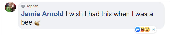 McDonalds Opens A Tiny Restaurant For Bees McDonalds Opens A Tiny Restaurant For Bees