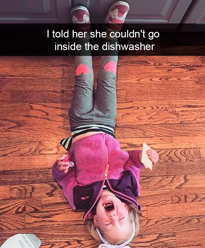 I Told Her She Couldn't Go Inside The Dishwasher