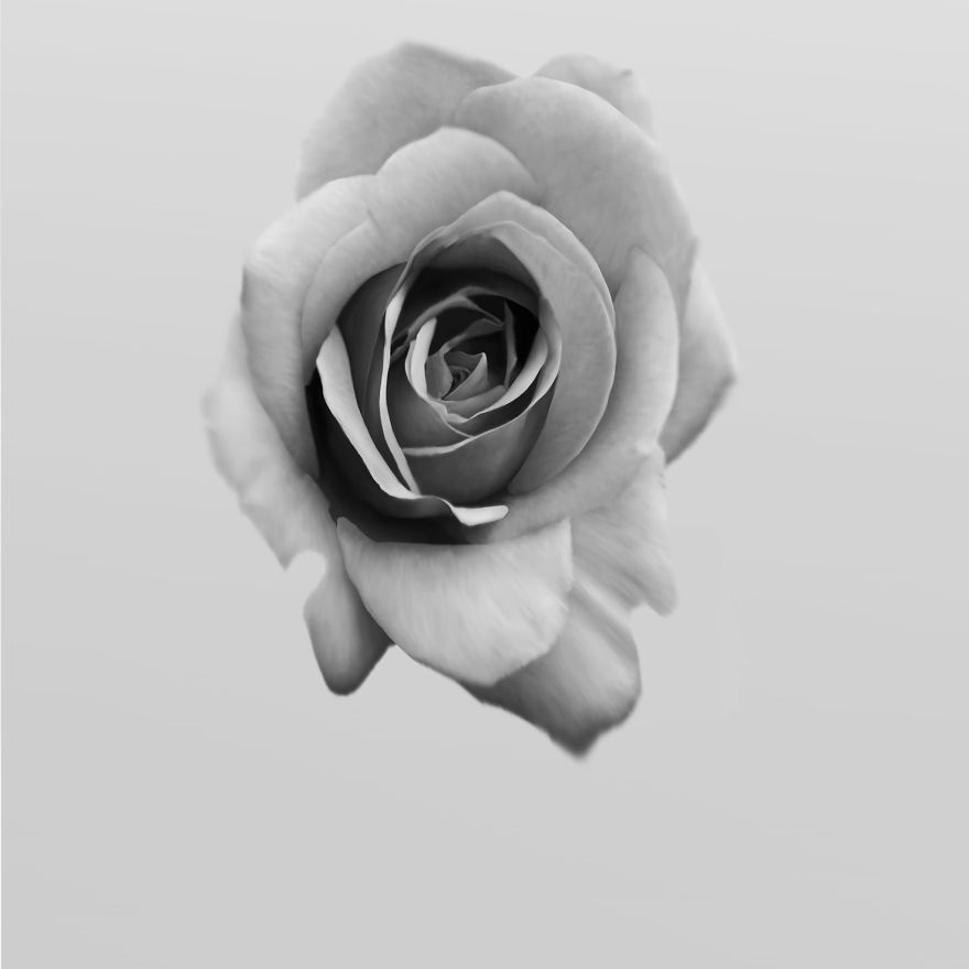 You Won't Believe These Are Not Photos You Won't Believe These Are Not Photos