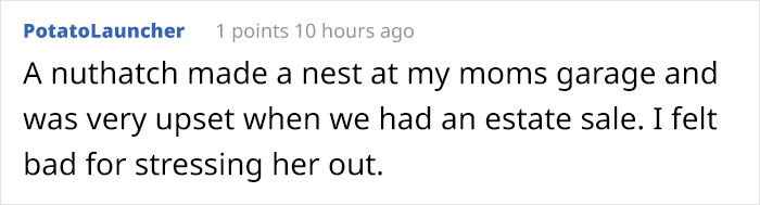 People Kept Destroying These Swifts' Nests So Someone Put Up A Sign Explaining Why We Need To Protect Them People Kept Destroying These Swifts' Nests So Someone Put Up A Sign Explaining Why We Need To Protect Them