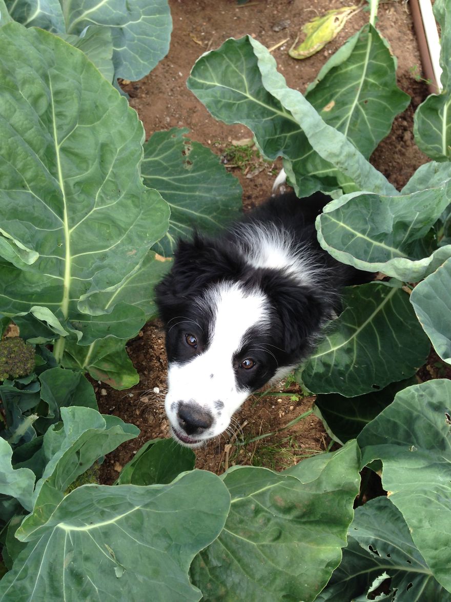 Amazingly Talented 13 Year Old Girl Took Amazing Photos With An iPhone 5 Whilst On A Holiday And The Results Are Stunning! Amazingly Talented 13 Year Old Girl Took Amazing Photos With An iPhone 5 Whilst On A Holiday And The Results Are Stunning!