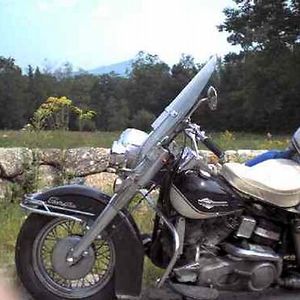 davidraymondamos avatar