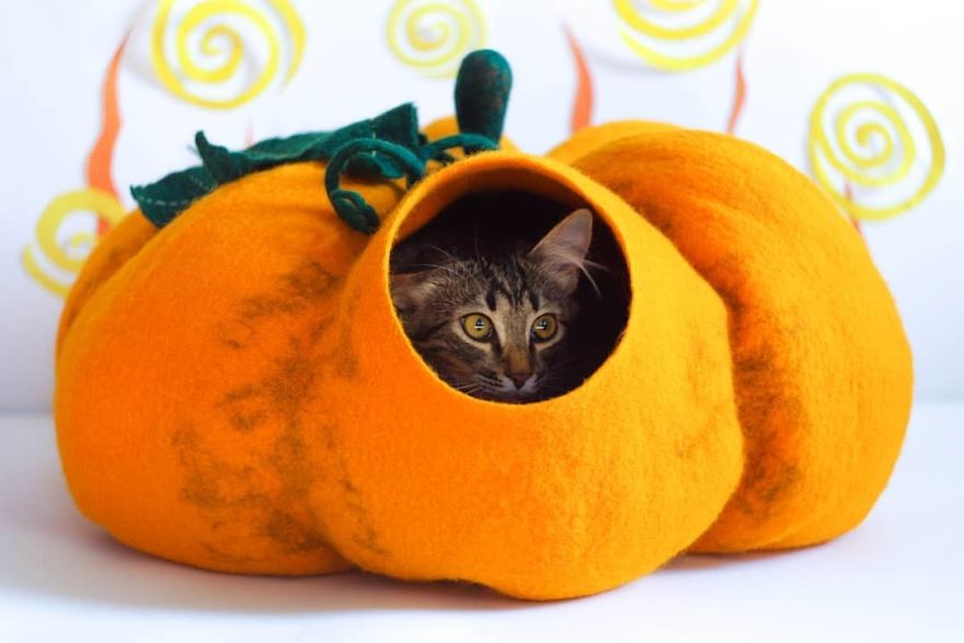 Pumpkin Cat Bed