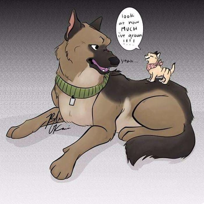 Comics-Adventures-Dogs-Pixie-Brutus-Fan-Art