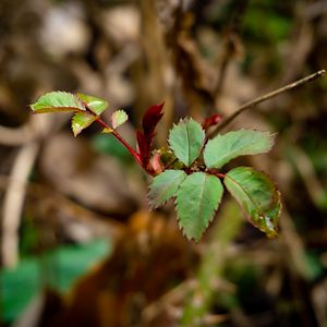 hayleymonster15 avatar