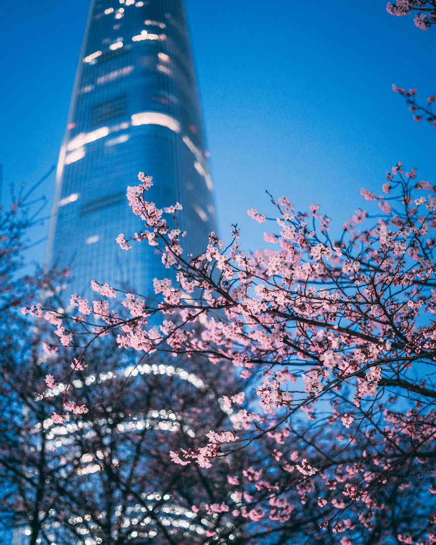 I Have Been Living In South Korea For Three Years And Here Are Some Photos That I've Taken During That Time.