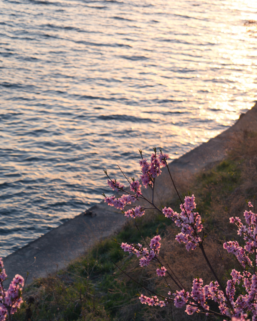 I Have Been Living In South Korea For Three Years And Here Are Some Photos That I've Taken During That Time.