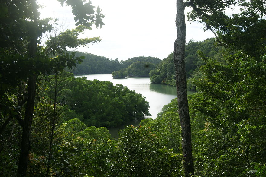 I Went To Fakfak To Enjoy The Beach, Cave, And Saw Bats