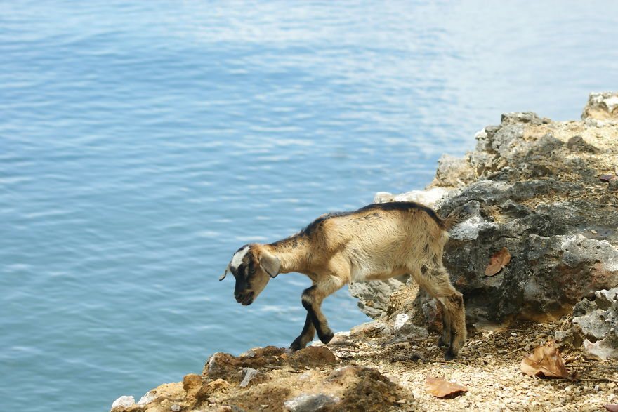 I Went To Fakfak To Enjoy The Beach, Cave, And Saw Bats I Went To Fakfak To Enjoy The Beach, Cave, And Saw Bats