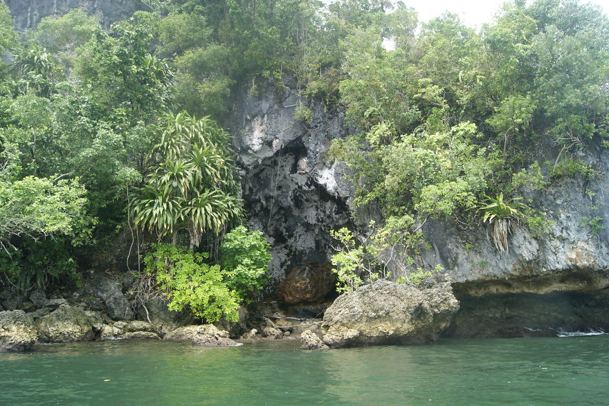 I Went To Fakfak To Enjoy The Beach, Cave, And Saw Bats I Went To Fakfak To Enjoy The Beach, Cave, And Saw Bats