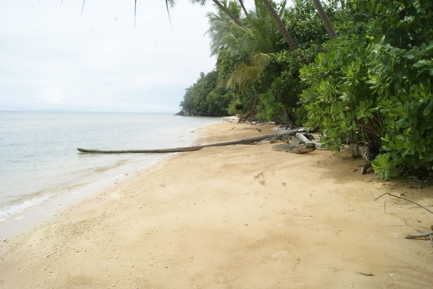 I Went To Fakfak To Enjoy The Beach, Cave, And Saw Bats