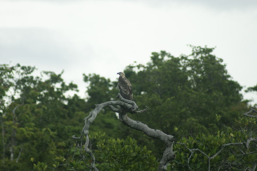 I Went To Fakfak To Enjoy The Beach, Cave, And Saw Bats