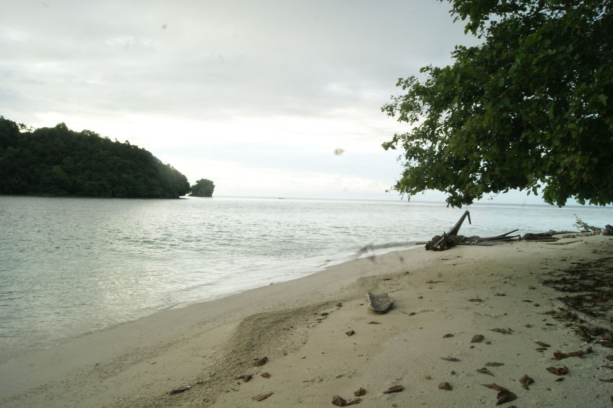 I Went To Fakfak To Enjoy The Beach, Cave, And Saw Bats I Went To Fakfak To Enjoy The Beach, Cave, And Saw Bats