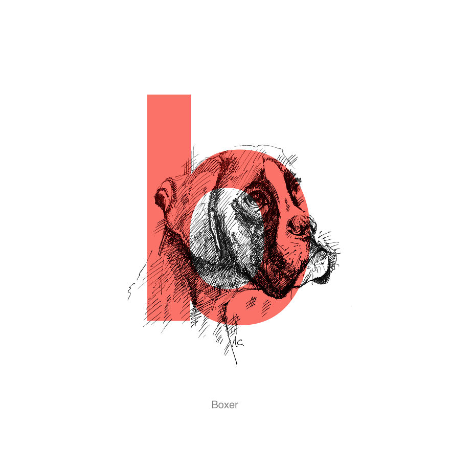 Dog Alphabet Number Two, That I Made From The First Letters Of Their Breeds