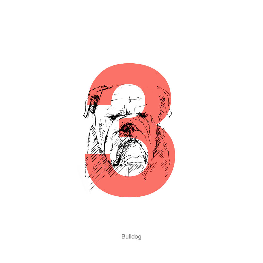 Dog Alphabet Number Two, That I Made From The First Letters Of Their Breeds