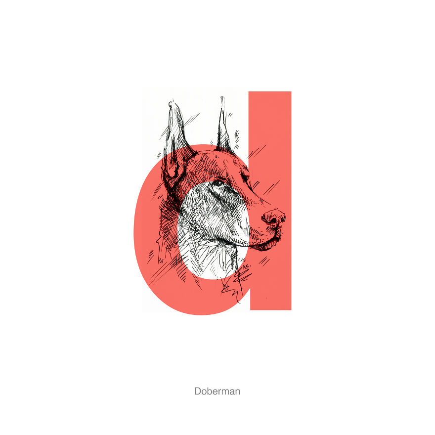 Dog Alphabet Number Two, That I Made From The First Letters Of Their Breeds